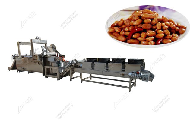 Fried Peanut Processing Line