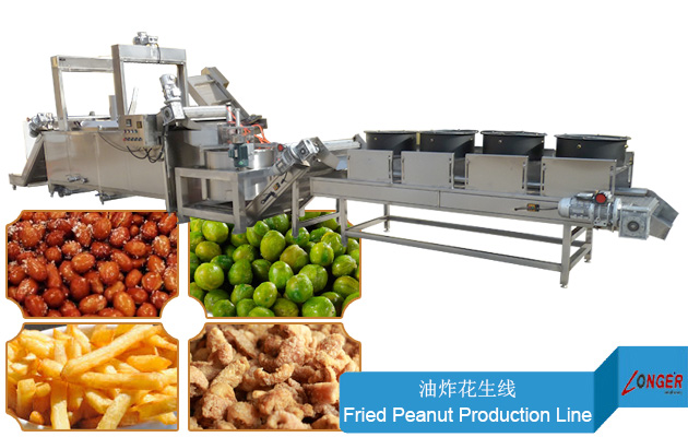 Automatic Groundnut Fryer Machine