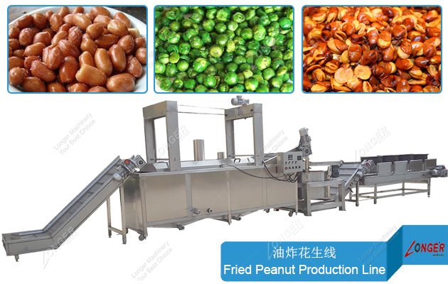 Continuous Groundnut Frying Line