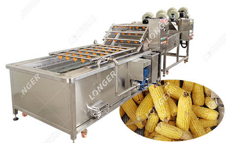 Corn washing machine