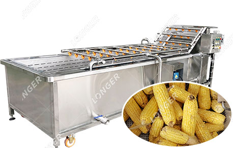 Corn washing machine