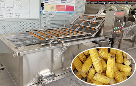 Corn washing machine