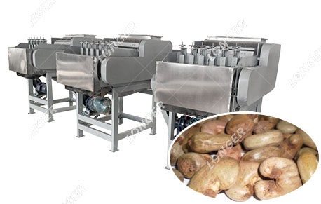 cashew nut shelling machine